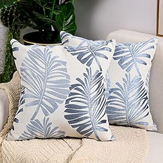 Btyrle Cushion Covers Pack of 2 Decorative Velvet Throw Pillow Cover Soft Pillowcases with Invisible Zipper for Sofa and Couch 45x45cm 18x18 Inch Brown