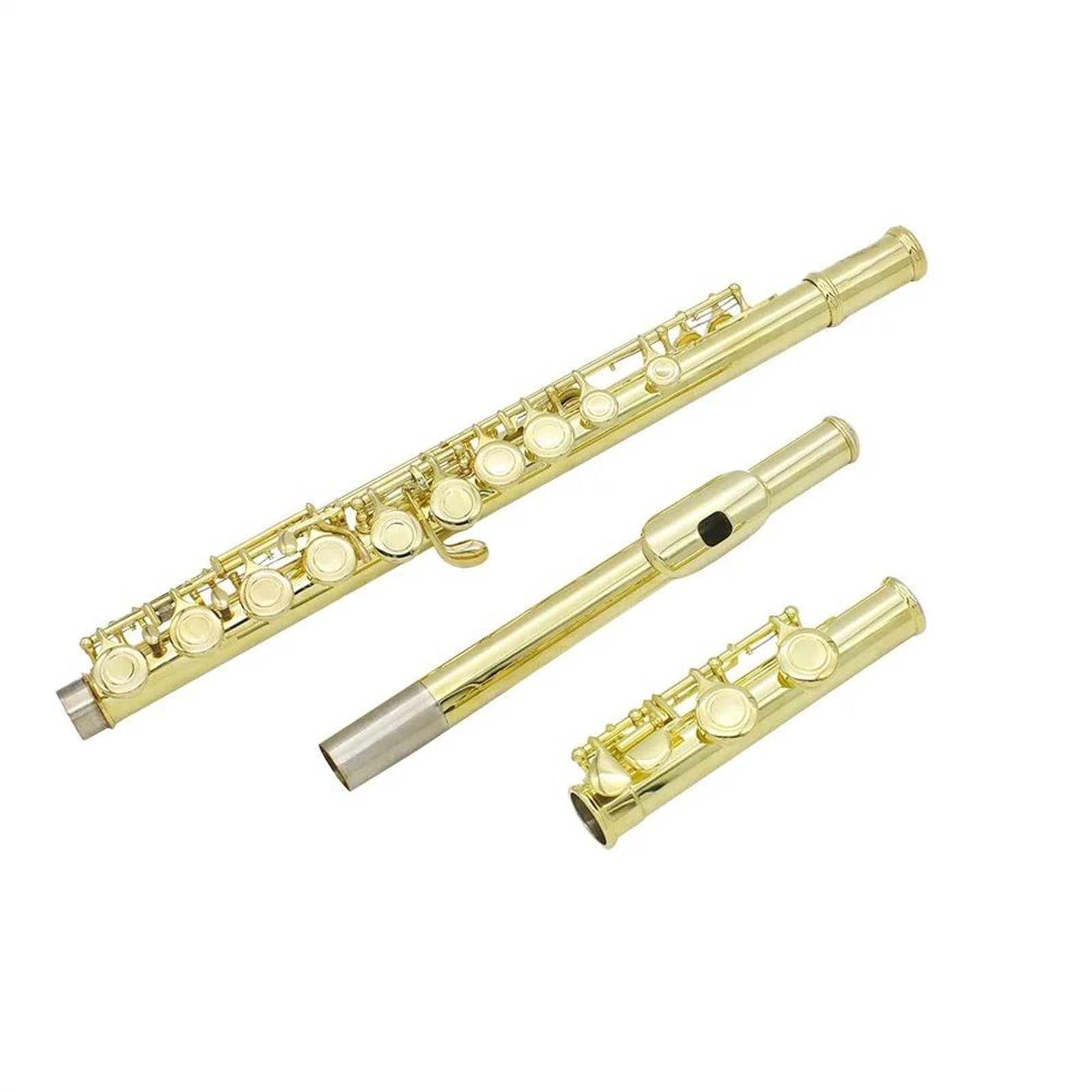 Flet Instrumenty Muzyczne 16 Kluczowy Instrument Dla Początkujących Z Zamkniętym Otworem C Flet Jest Dostarczany Zestawem Uchwytów Na Rękawiczki Pasek Przejściowy Trwały(Green)