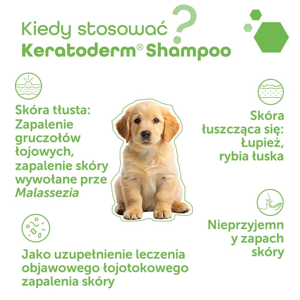 MP Labo Keratoderm® Szampon 200 ml – regulujący wydzielanie sebum i złuszczający – technologia Skin Barrier Protect™ – dla psów i kotów