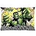 Marvel Comics Superhero Series Beware of Incredible HULK Standard Zippered Pillowcase Cover 20"x30" inch (50X76cm)-Two Sides