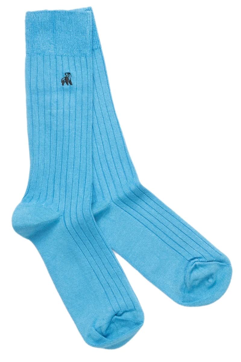 Swole Panda Bamboo Socks UK7-11 - Sky Blue Ribbed