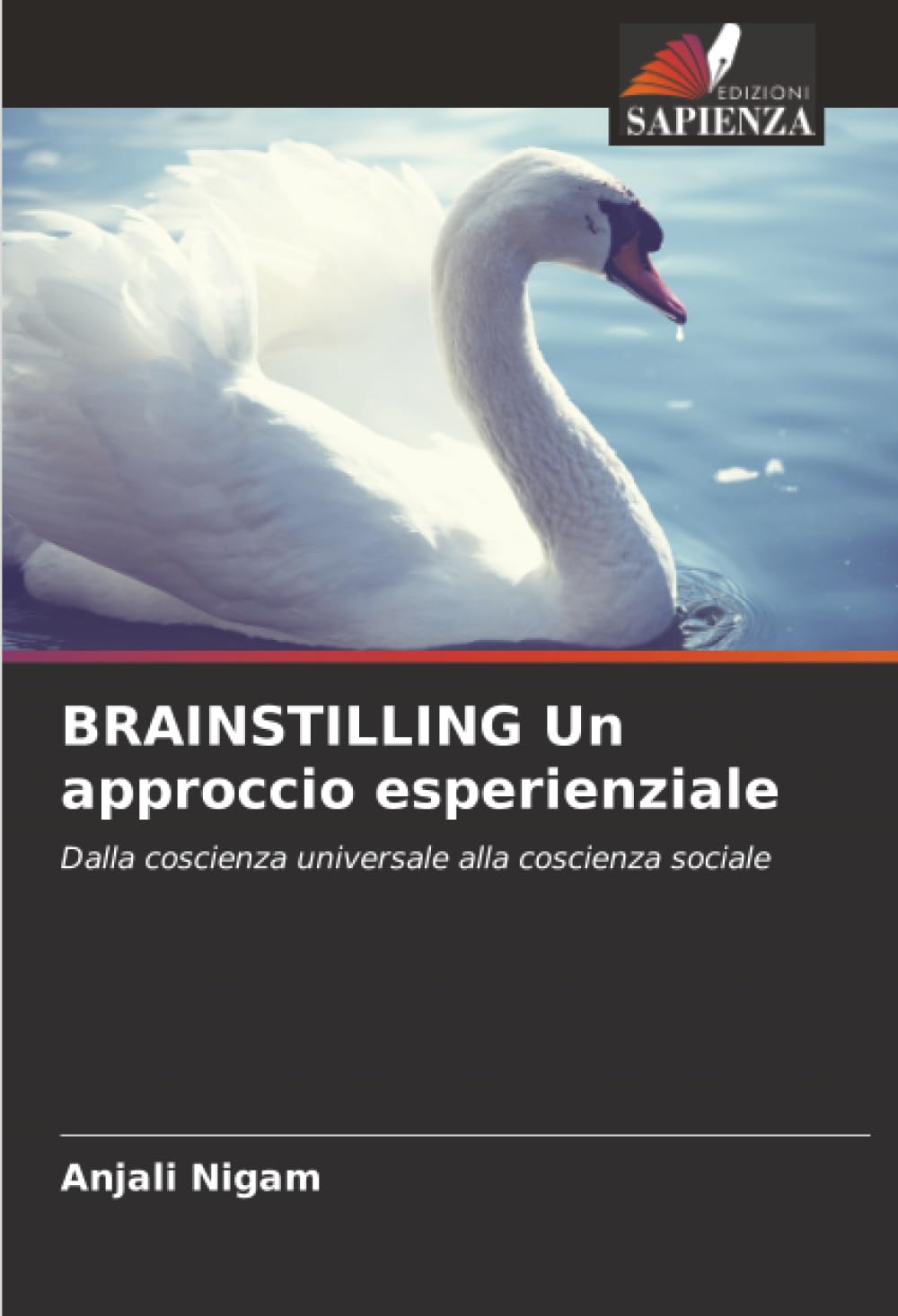 BRAINSTILLING Un approccio esperienziale: Dalla coscienza universale alla coscienza sociale