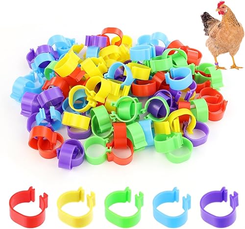 Tenalleys 100 unidades de bandas de identificación de pollo, 5 colores, anillos de pierna de pollo de 0.630 in, anillos de pie de aves de corral,