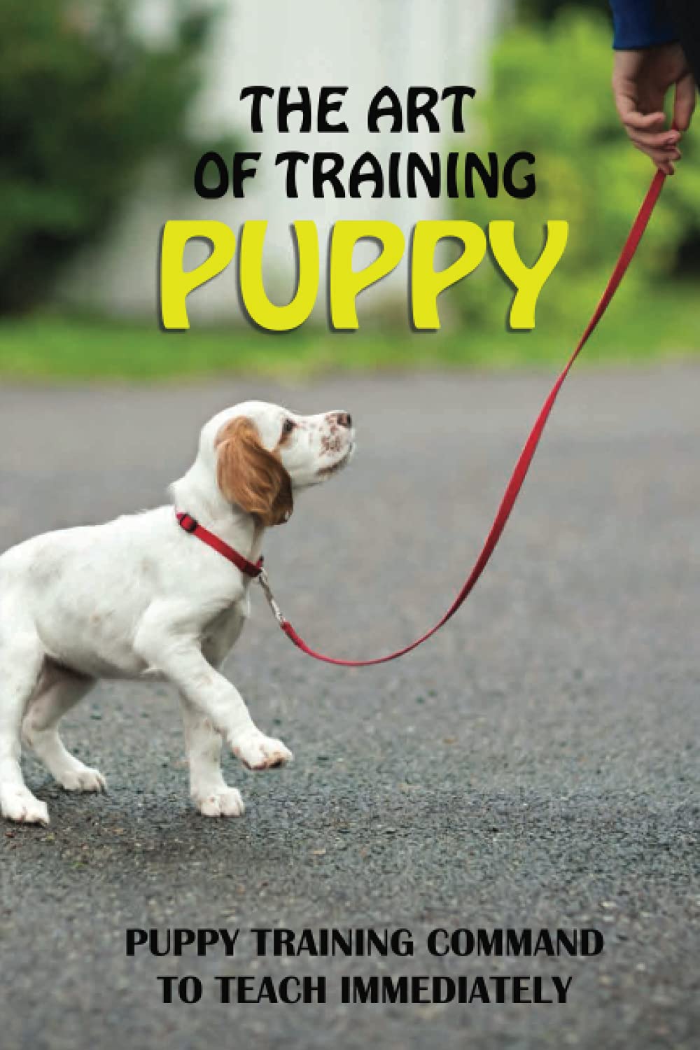The Art Of Training Puppy: Puppy Training Command To Teach Immediately: Puppy Training