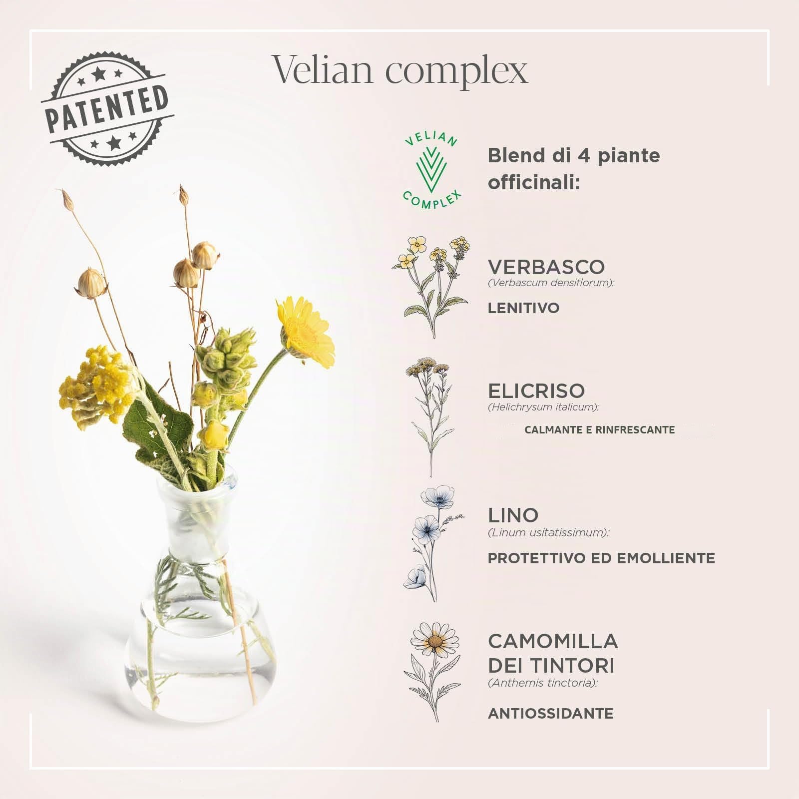 Actyva - Bellessere Balm, Balsamo per Capelli e Corpo con Azione Emolliente e Protettiva con Oli di Argan, Mandorle Dolci e Lino - 1000 ml