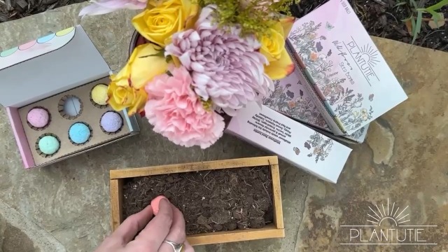 Amazon.com : Plantutie Wildflower Seed Bomb Gift Box – 6 Colorful