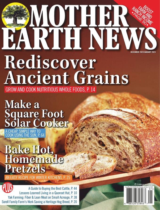 Best Lean For Dummies Cheat Sheet 2023 Where to Buy?