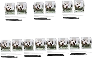 14 Conjuntos De Caixa De Criação De Aranha Saltadora Sapo De Sobrevivência Recipiente Transparente Minúsculos Animais De Vidro Caixa Recipiente Para Caracóis Casa Criador