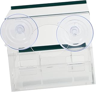 OFFSCH 1pc Bird Feeder Window Bird Tray Window Bird Feeders Outdoor Bird Feeder Tool Trays Parakeet Feeder Hanging Bird Feeder Bird Feeding Supplies Bird Food Dispenser Bird Food Box Pet