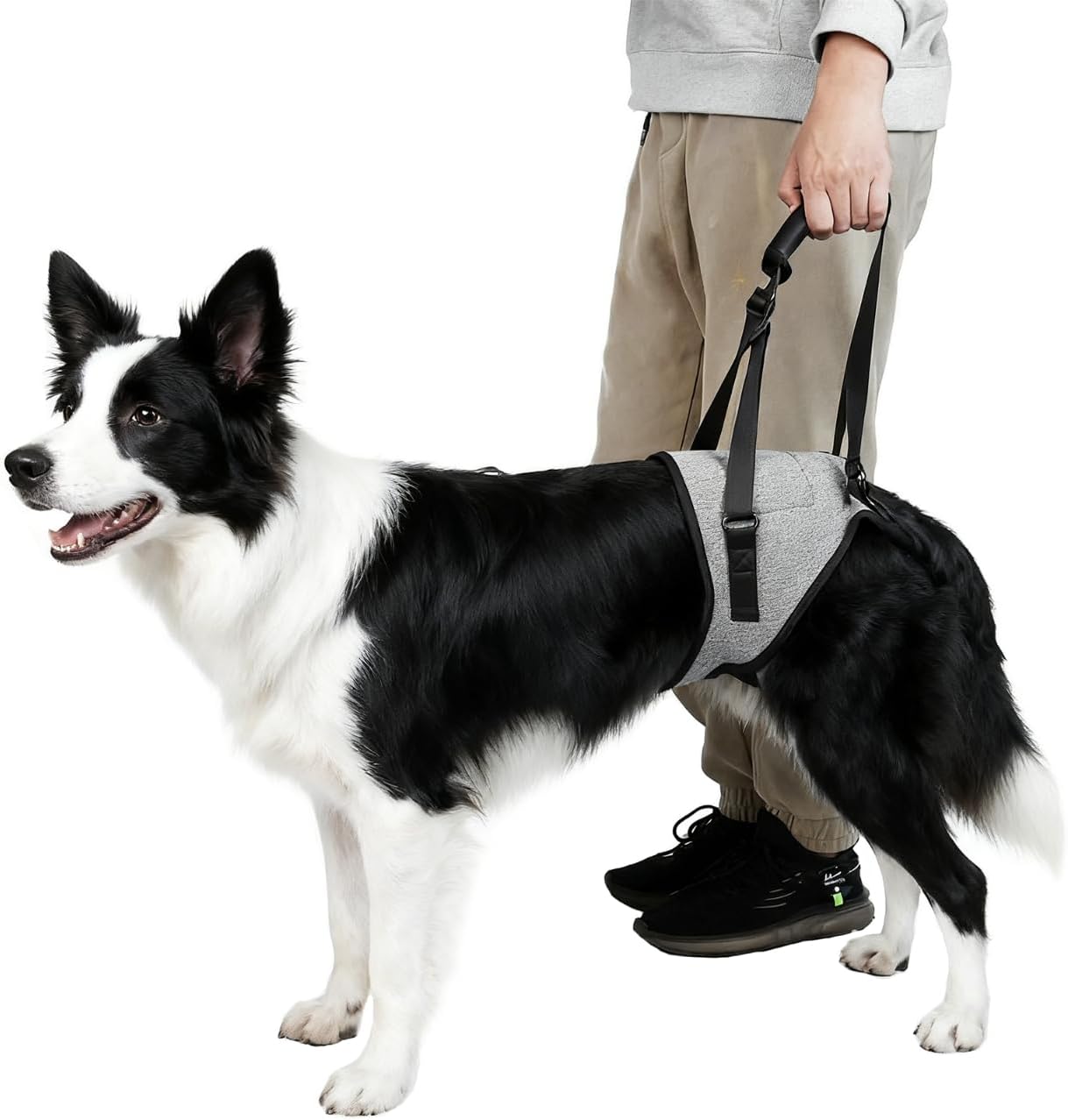 Dog Lift Harness for Dogs, Support Harness for Back Legs, Adjustable Rear Support Harness Grey X-Large