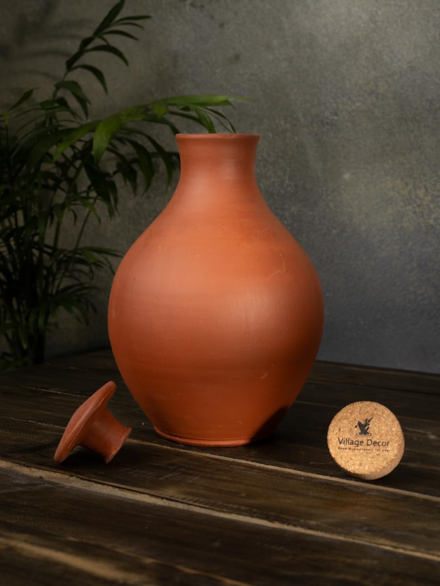 Village Decor Gocciolatore d'acqua in terracotta/vaso di terracotta autoirrigante innaffia automaticamente le tue piante durante le vacanze