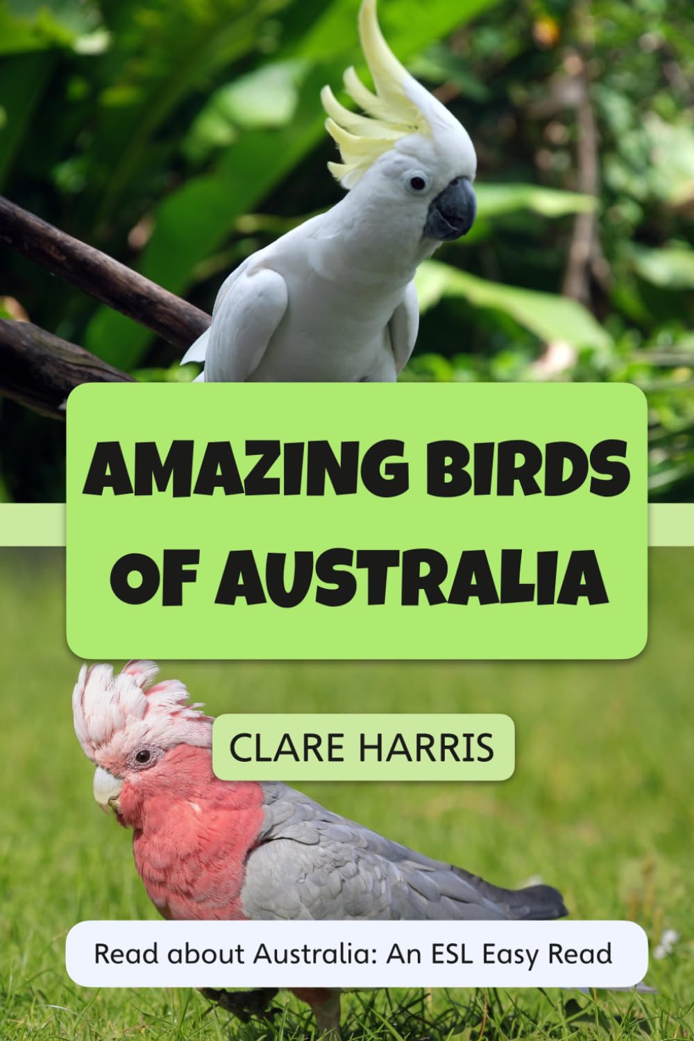 Amazing Birds of Australia: Read about Australia: An ESL Easy Read