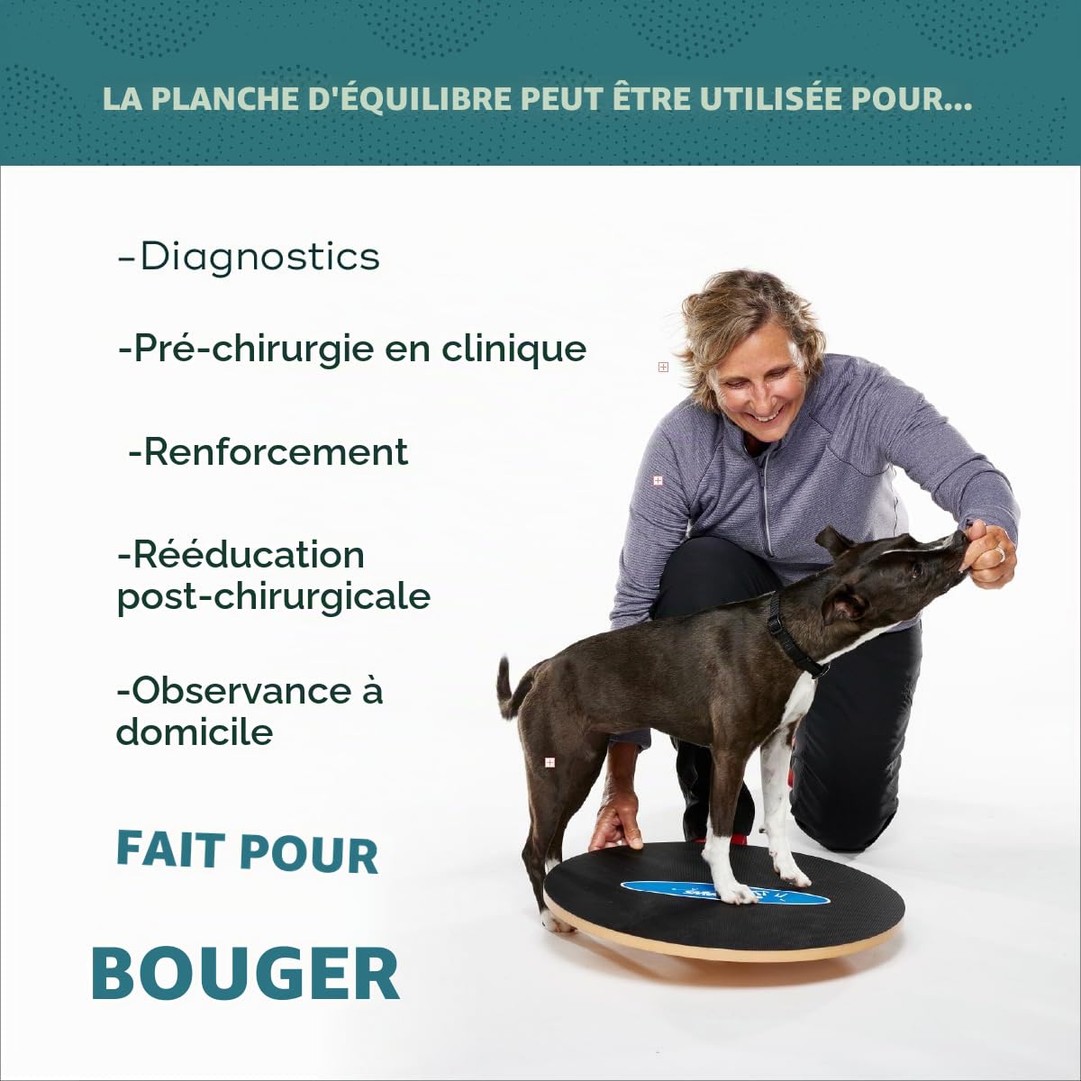 Ball Dynamics Int. LLC FitPAWS Planche d'Equilibre Osciller pour Chien 50 cm