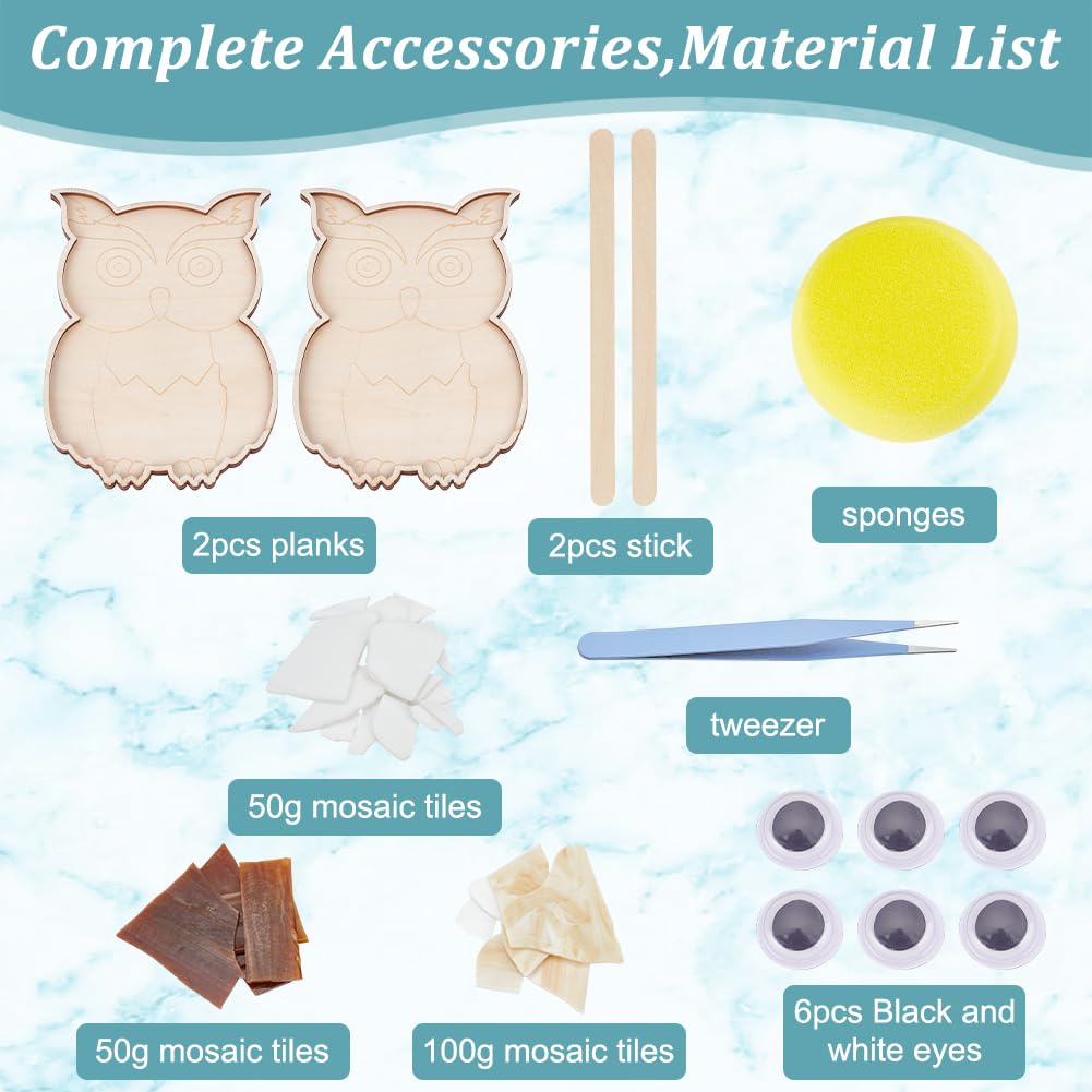 WEBEEDY DIY Mosaik Set – Blaue Libelle, Mit Glasfliesen & Anleitung, Für Anfänger