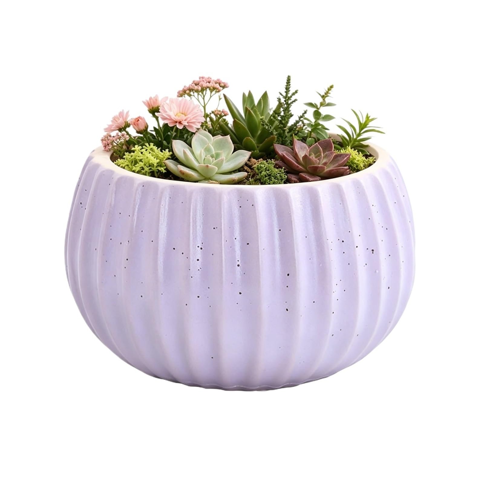 MDNIPQBAM natural Plant Pot Round Flowerpot Office Desktop Gardening Potted Ornaments Container for garden