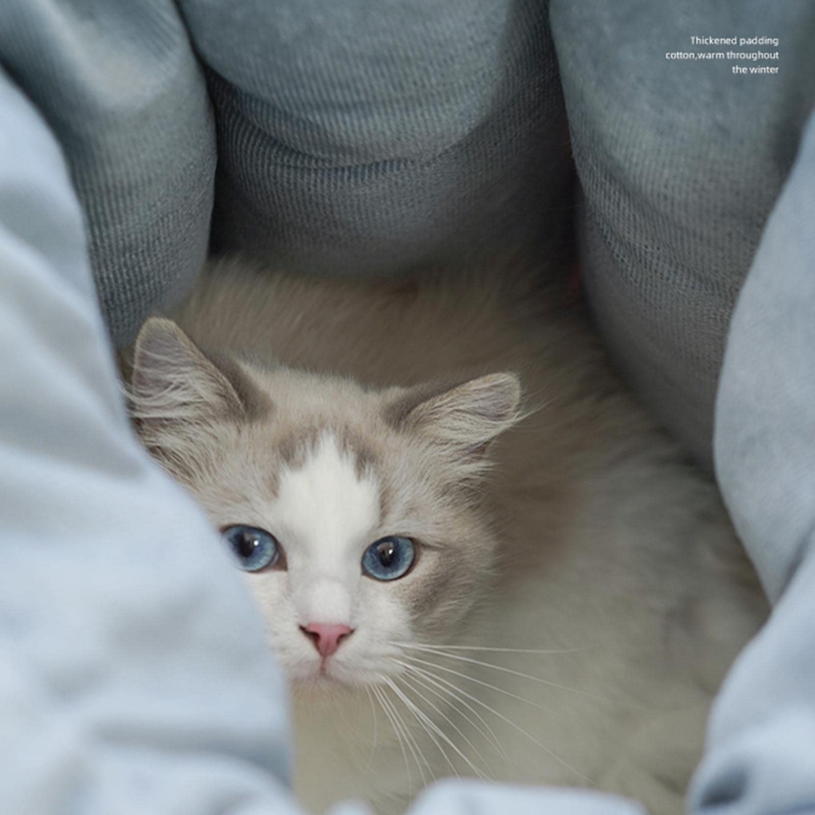 LOVIVER Felpa Casa cálida Antideslizante Tienda de campaña para Perros Lavable Autocalentamiento Hut Cueva Cama para Mascotas Manta para Gatos para Gatos de, Gris