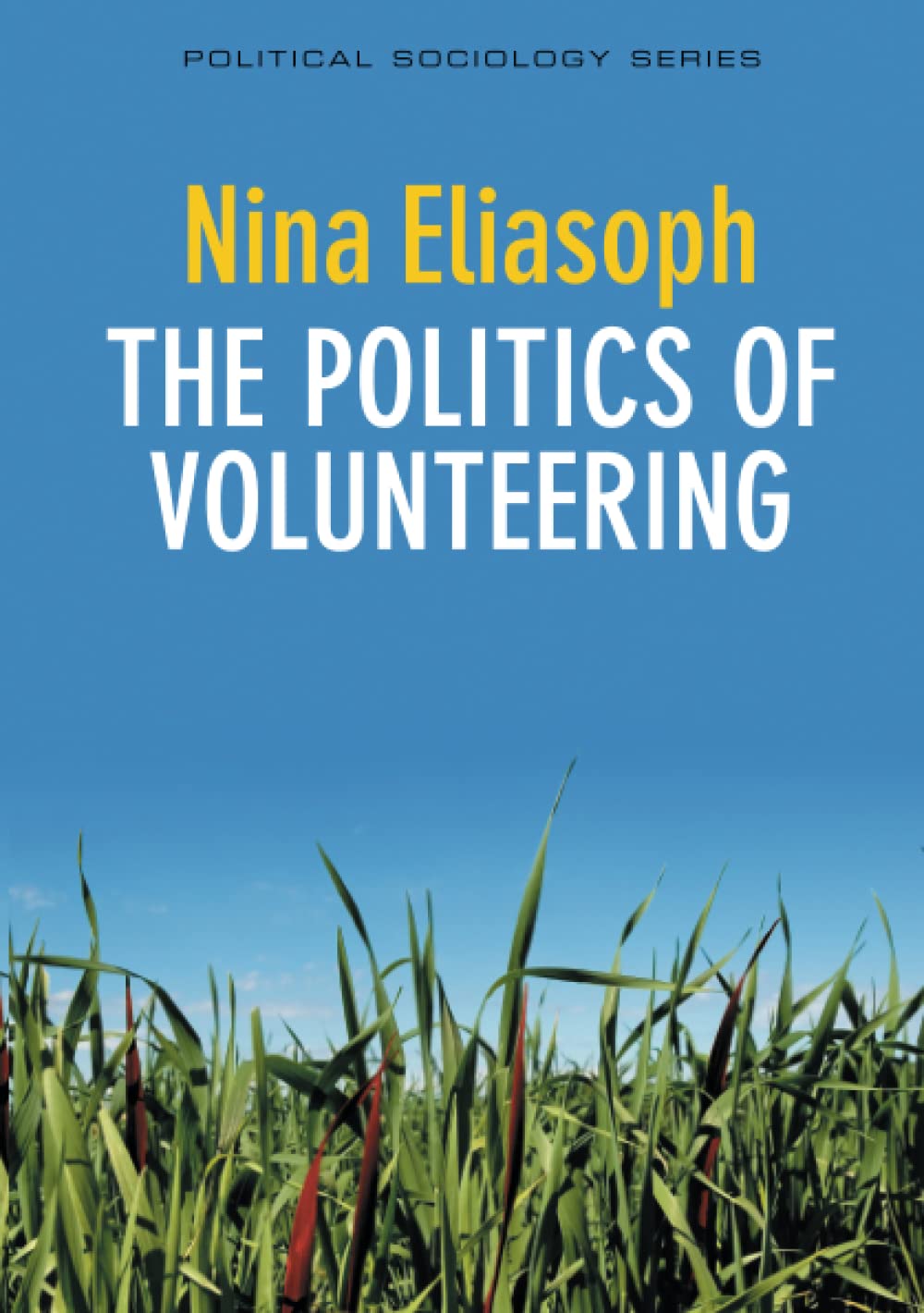 The Politics of Volunteering Eliasoph Paperback Polity Press 9780745650043