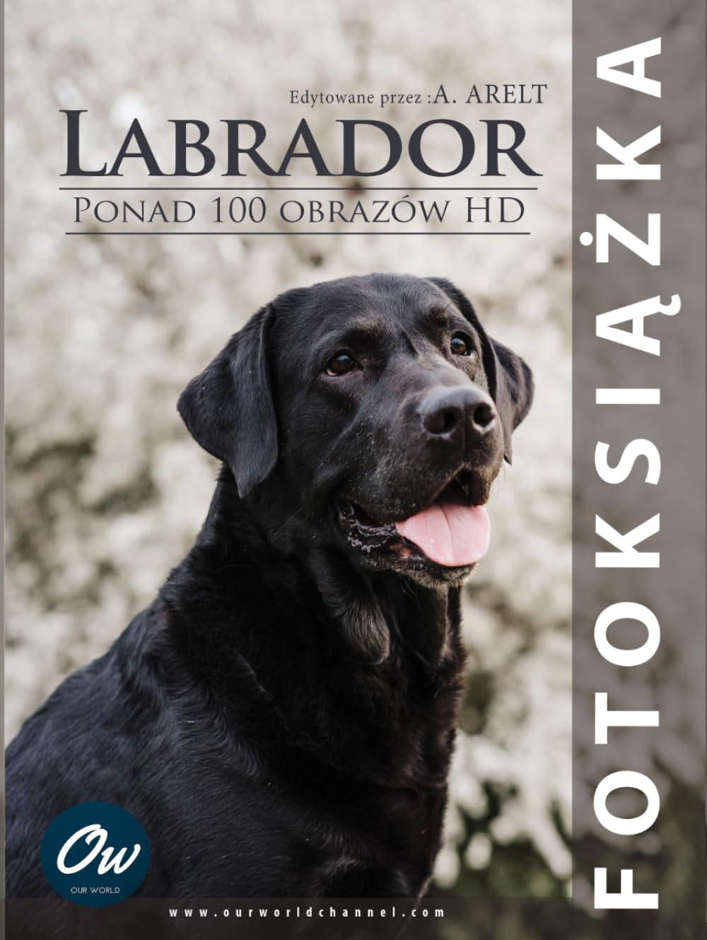 Livre photo Labrador reliure d'art pour les portraits de votre chien