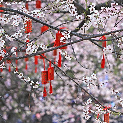 Image of VAPKER 100 Pieces Dark Red Color 13cm /5-Inch Silky Handmade Soft Tassels Floss Bookmark Tassels with 2-Inch Cord Loop for Jewelry Making, DIY Projects, Bookmarks