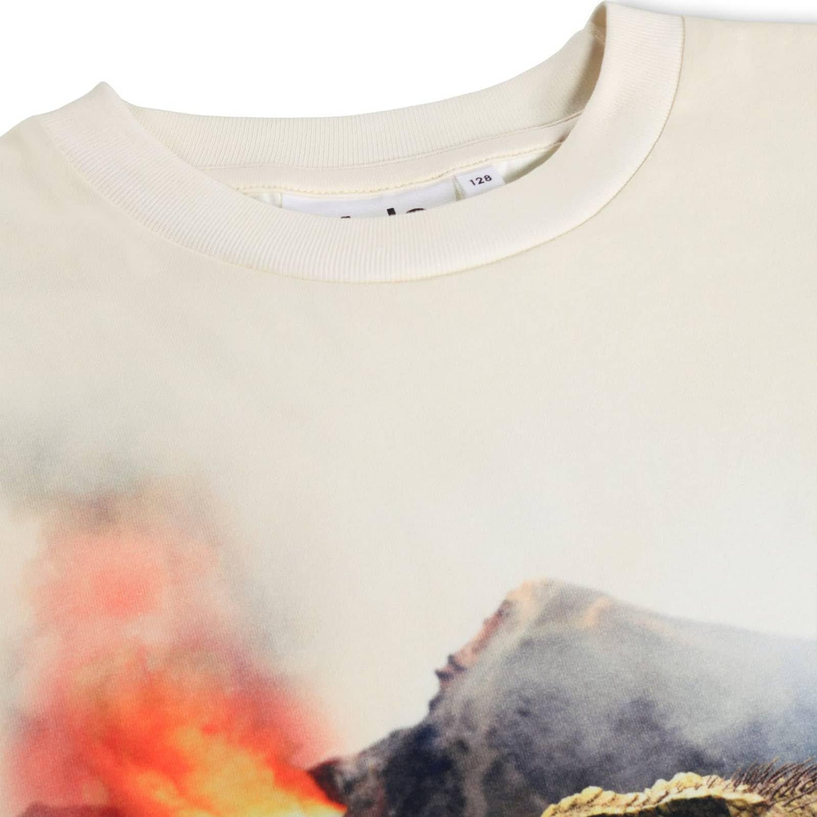 Molo Jungen T-Shirt Riley GOTS