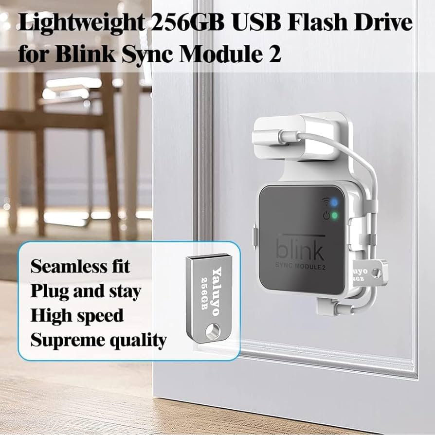 Amazon.com: 256GB USB Flash Drive& Blink Sync Module 2 Mount