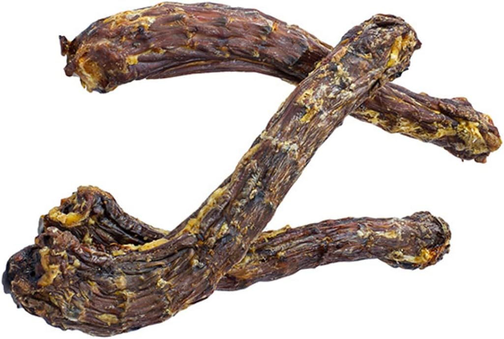 Express Pet Supplies Duck Necks | 12-15cm Long | 100% Naturally Air-Dried Treats for Dogs | Low Fat High Protein | Snack (10)