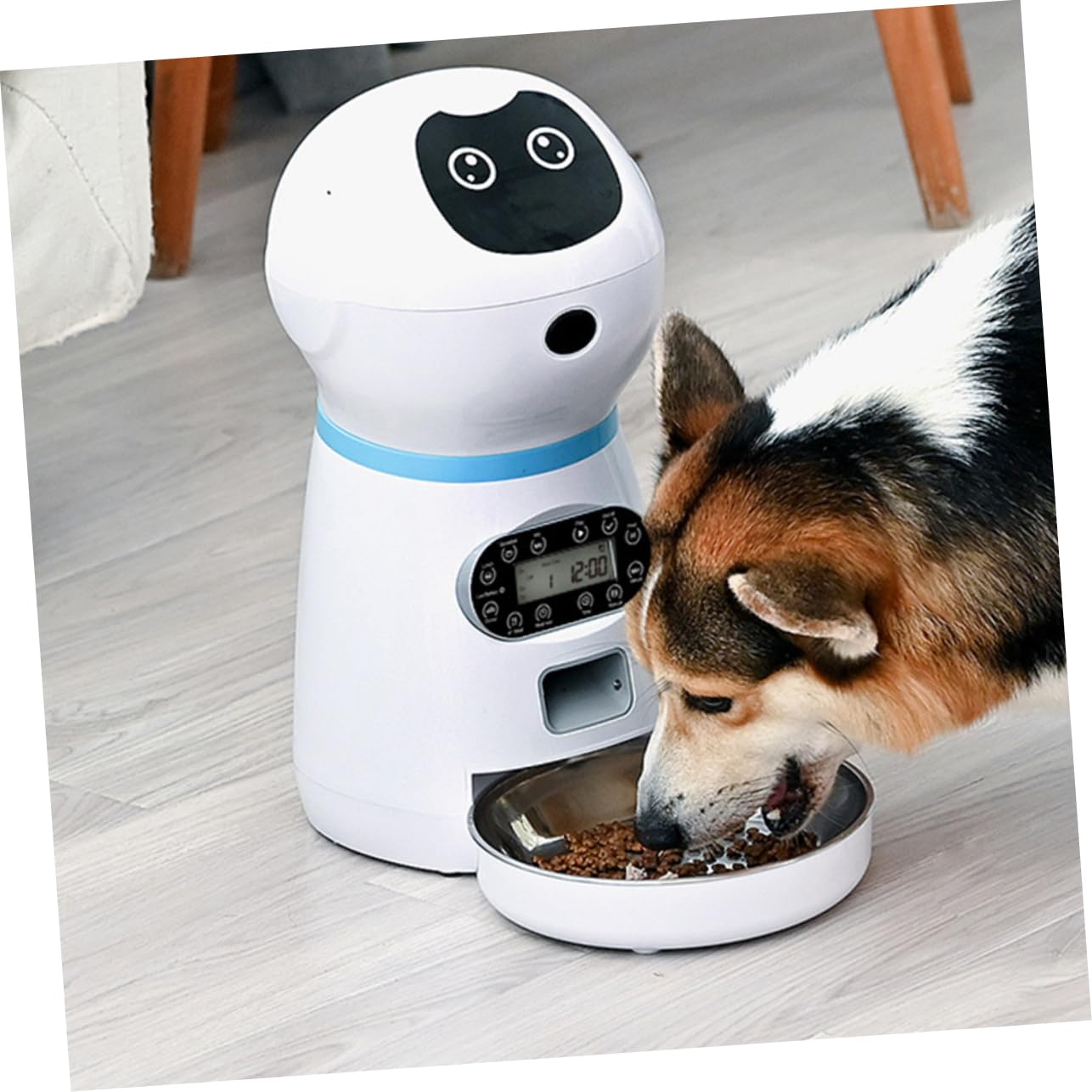 VANZACK Alimentador Automático y Función de Grabación para Mascotas con Capacidad 3.5l Robot Inteligente con Temporizador Digital para Uso en Hogar Personal