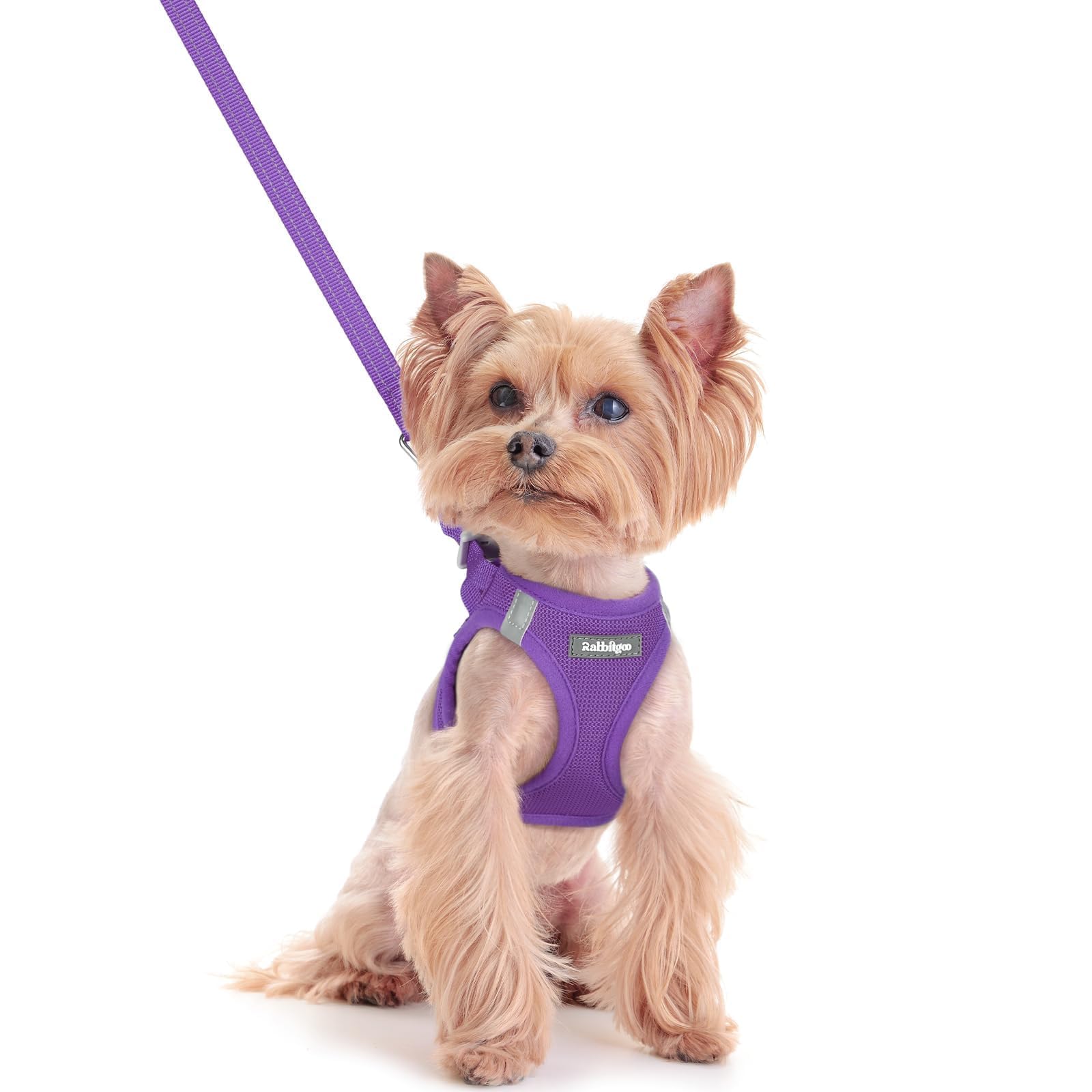 rabbitgoo Dog Harness Small Dog and Leash Set, Step-in Soft Mesh Puppy Harness with Reflective Strips, Lightweight Breathable Pet Vest for Walking Training, Purple, XXS