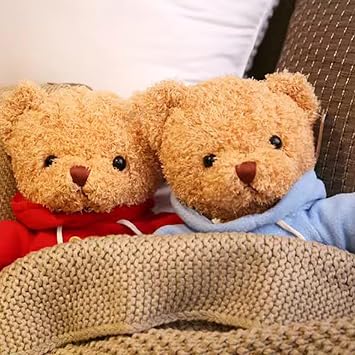 Teddy Bear Stuffed Animal, Teddy Bear Plush Toy, Birthday for Kids Boys Girls Friends (Blue, 12inch)
