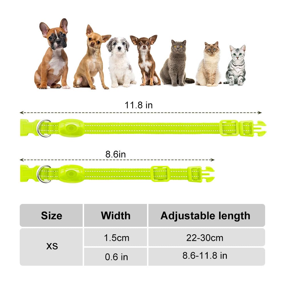 Collare per cani con LED riflettente, ricaricabile, luminoso, per animali domestici, per sicurezza notturna, ideale anche come collare per gatti illuminato (XS, verde)