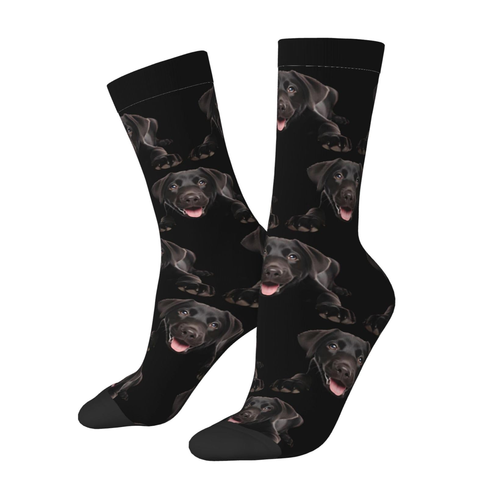 Disnimoo Unisex 2 Black-1 Labrador Black Labs Matter Socks Wedding High Socks For Men Women Crew Socks