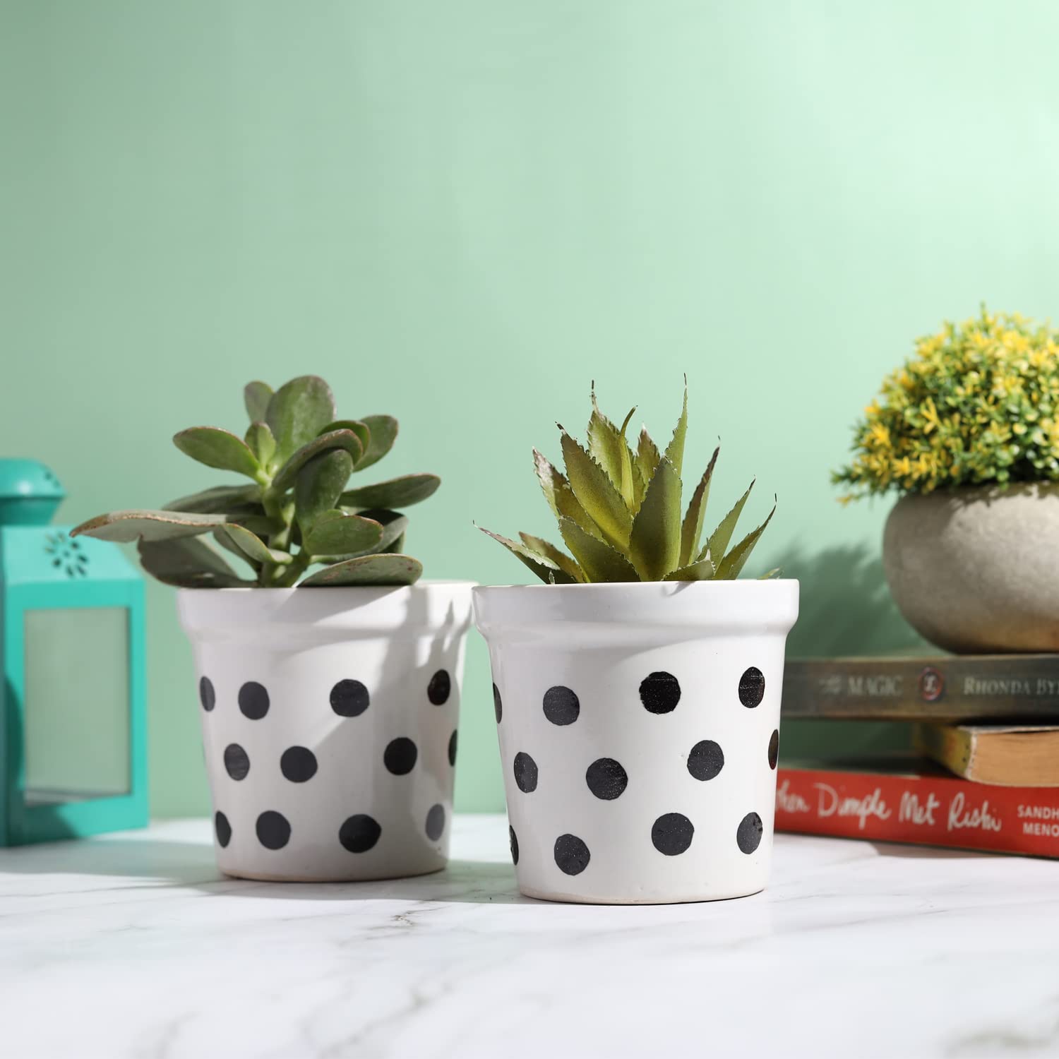 Ceramic Planter Pot, Polka Dotted Aswani Planter, Pack of 2 Plant Container, White & Black Color, for Home Garden Decor, Decorative CeramicPot (Without Plant)