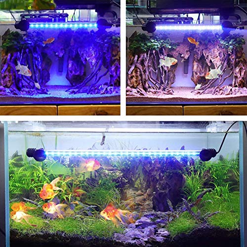 Image of Aquarium Light for Fish Tank,Auto on /Off Submersible White and Blue Aquarium Plant Light with Timer and dimming Function (11 inch (Timer & Dimming Function)