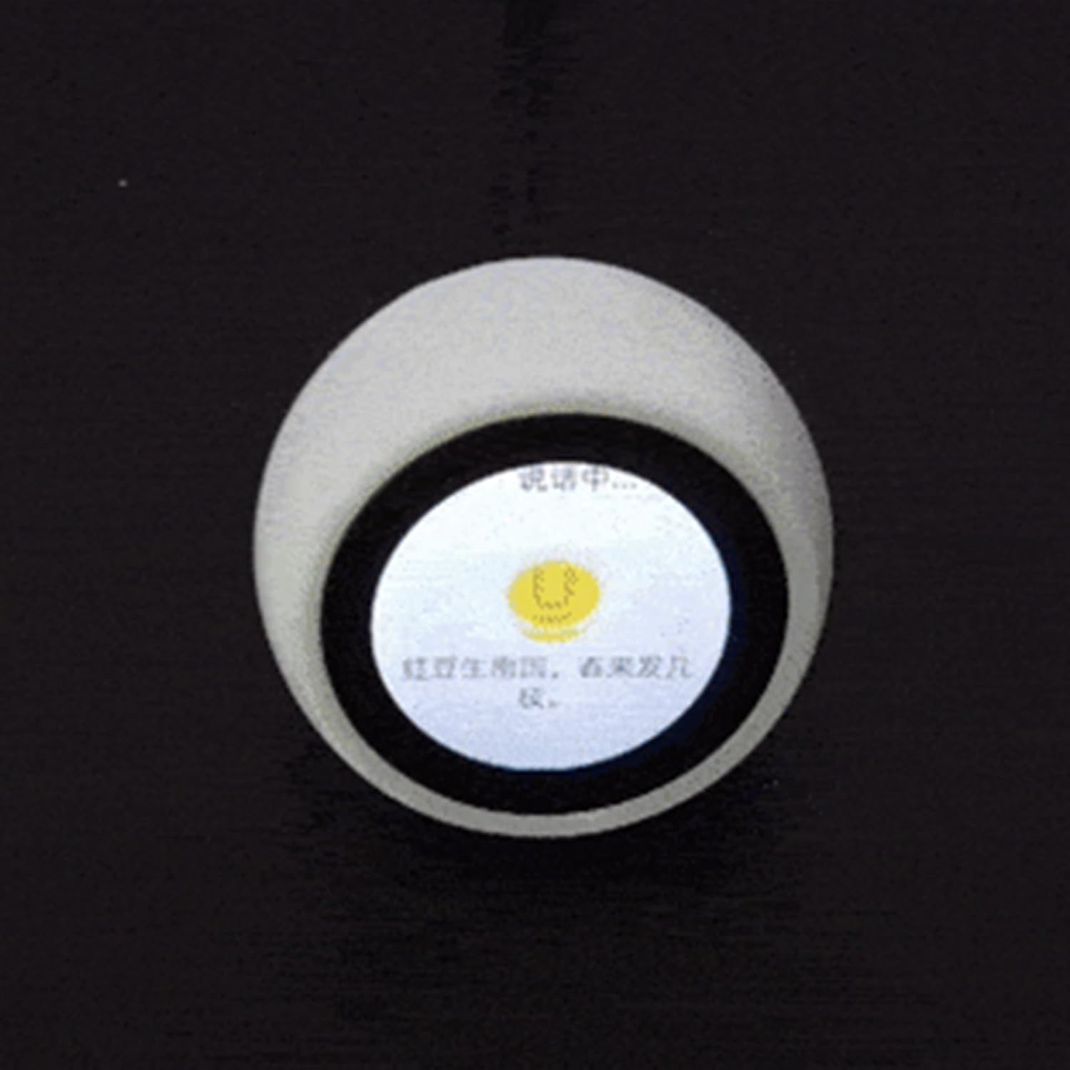 1.28inch LCDディスプレイ音声アシスタント開発ボードクロックデスクトップ飾り教育用に使用する