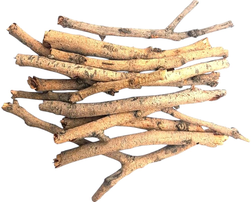 Gular/Cluster fig Plant/Wood Cutting, Length of Cutting 4 Inches (5 Cuttings)-image-2