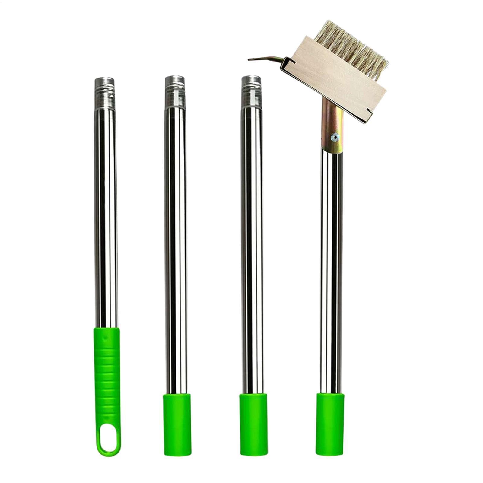 Brosse anti-mousse Grattoir Mousse Et Joints, Nettoyage Fissures