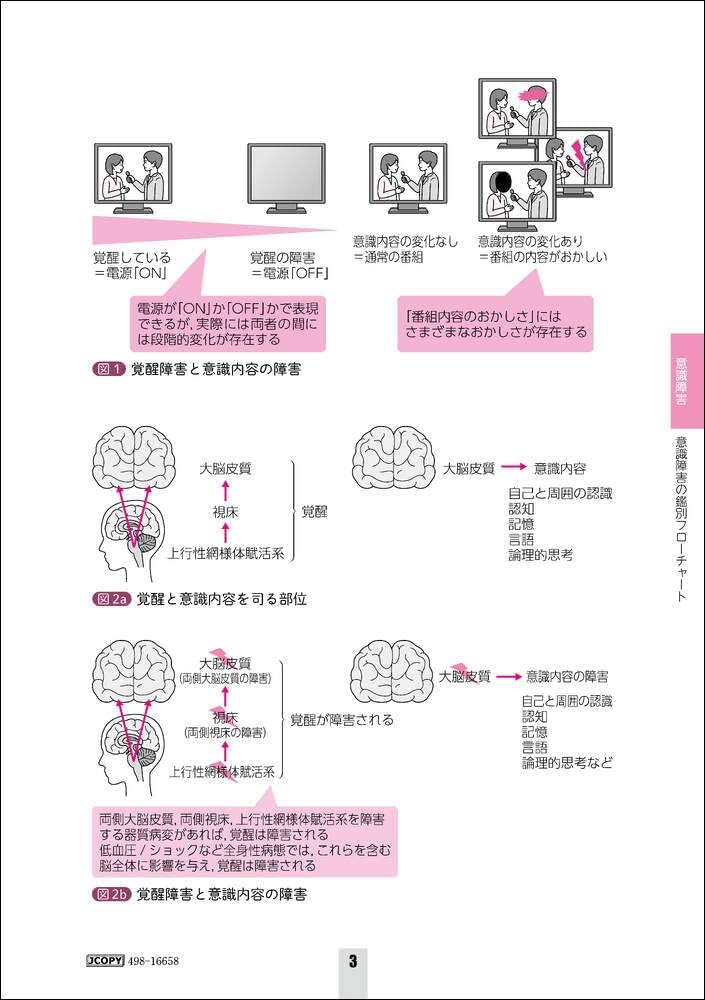 ER虎の巻 ピットフォールから学ぶ救急診療の要 ER虎の巻 ピットフォールから学ぶ救急診療の要 | 安田 英人, 柏