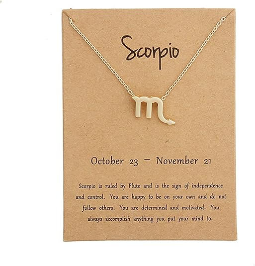 Silver Plated Zodiac Necklace for Women Jewelry Horoscope Sign Constellation Pendant Astrology Birthday Gifts Leo Jewelry with White Message Card