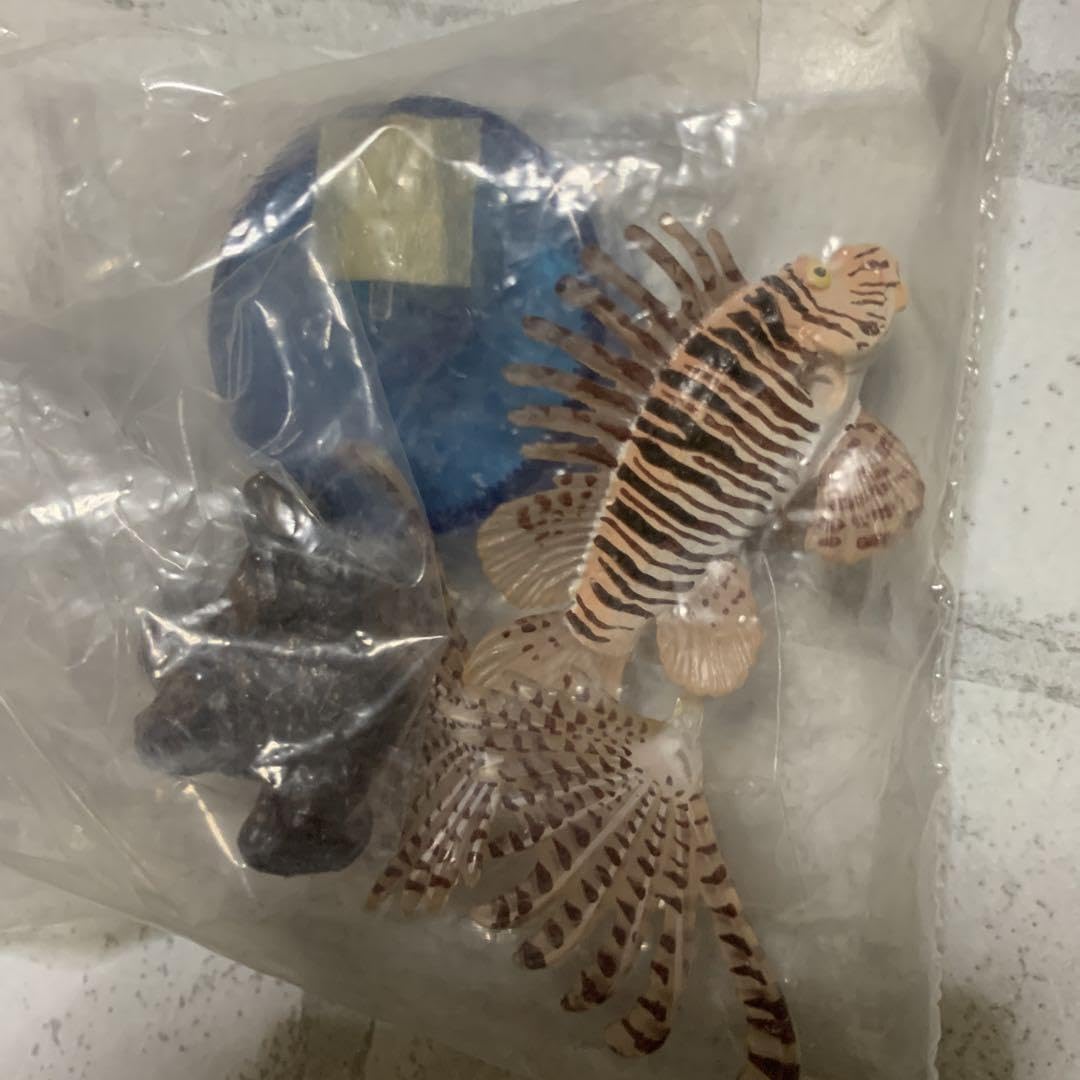 あああ　カサゴ　フィギュア Amazon.co.jp: 江ノ島水族館 ミノカサゴ フィギュア 海洋堂