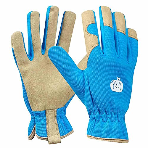 Preisvergleich Produktbild Tommi 779945 Handschuh Kürbis 5-8 Jahre, Blau