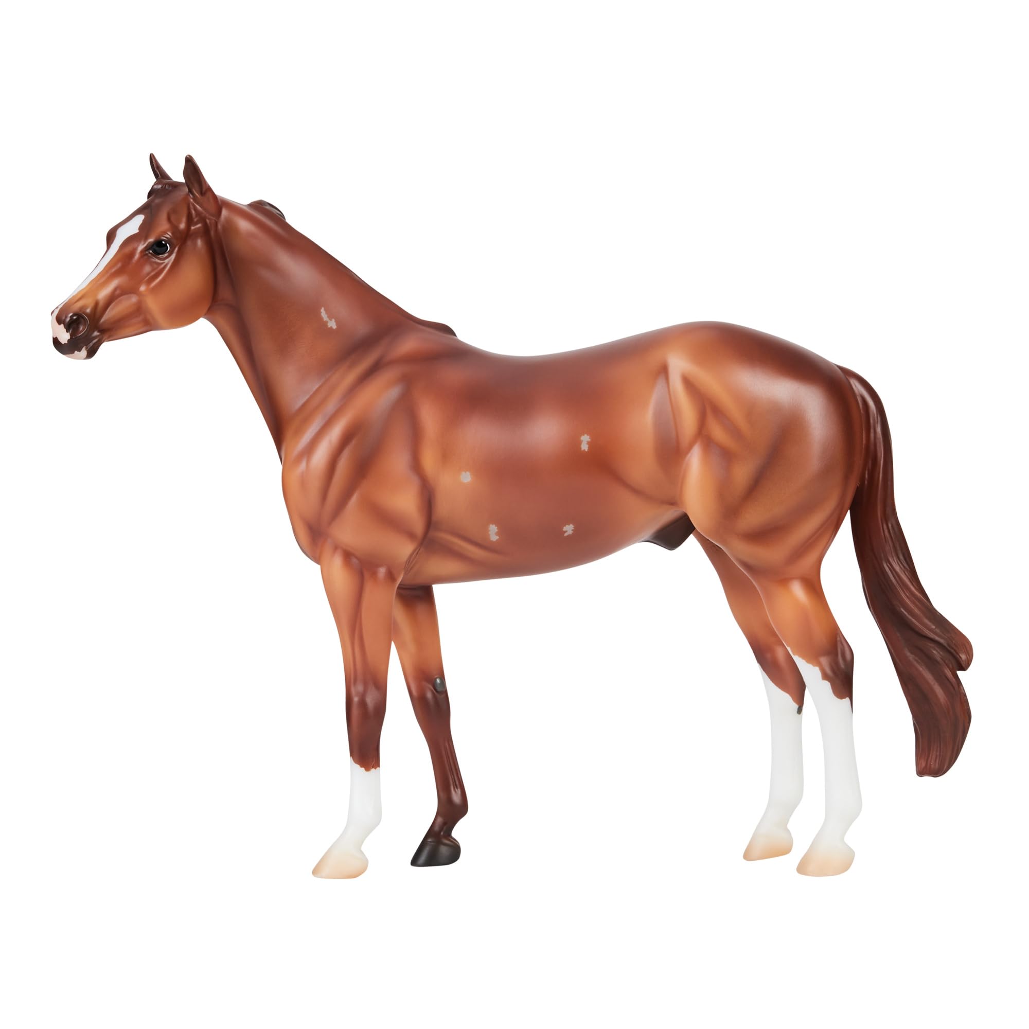 Amazon.com: Breyer Apollitical Jess American Quarter Horse