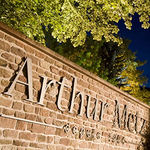 Arthur Metz - Cremant d’Alsace Brut, Cuvée 1904, Méthode Traditionnelle (1 x 0.75 l)