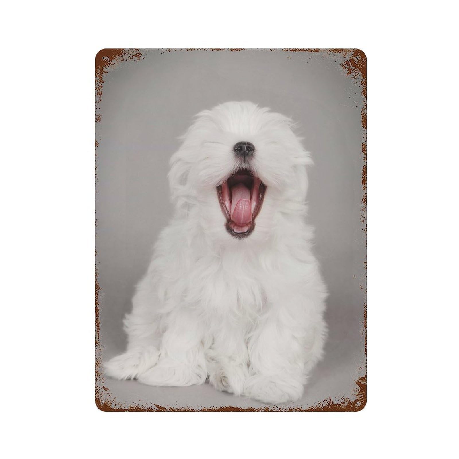 Yawning Maltese Puppy Retro Metal Sign 15.7"x11.8", Shabby Chic Decor for Garage, Pub Or Kitchen