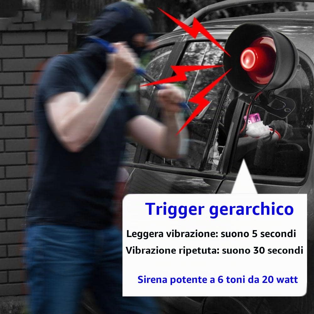 Riloer 12V Allarme auto universale Vibrazioni Sistema antifurto per auto Dispositivo per retrofit elettropneumatico Sistema di chiusura centrale, Accessori di allarme auto Protezione di sicurezza auto