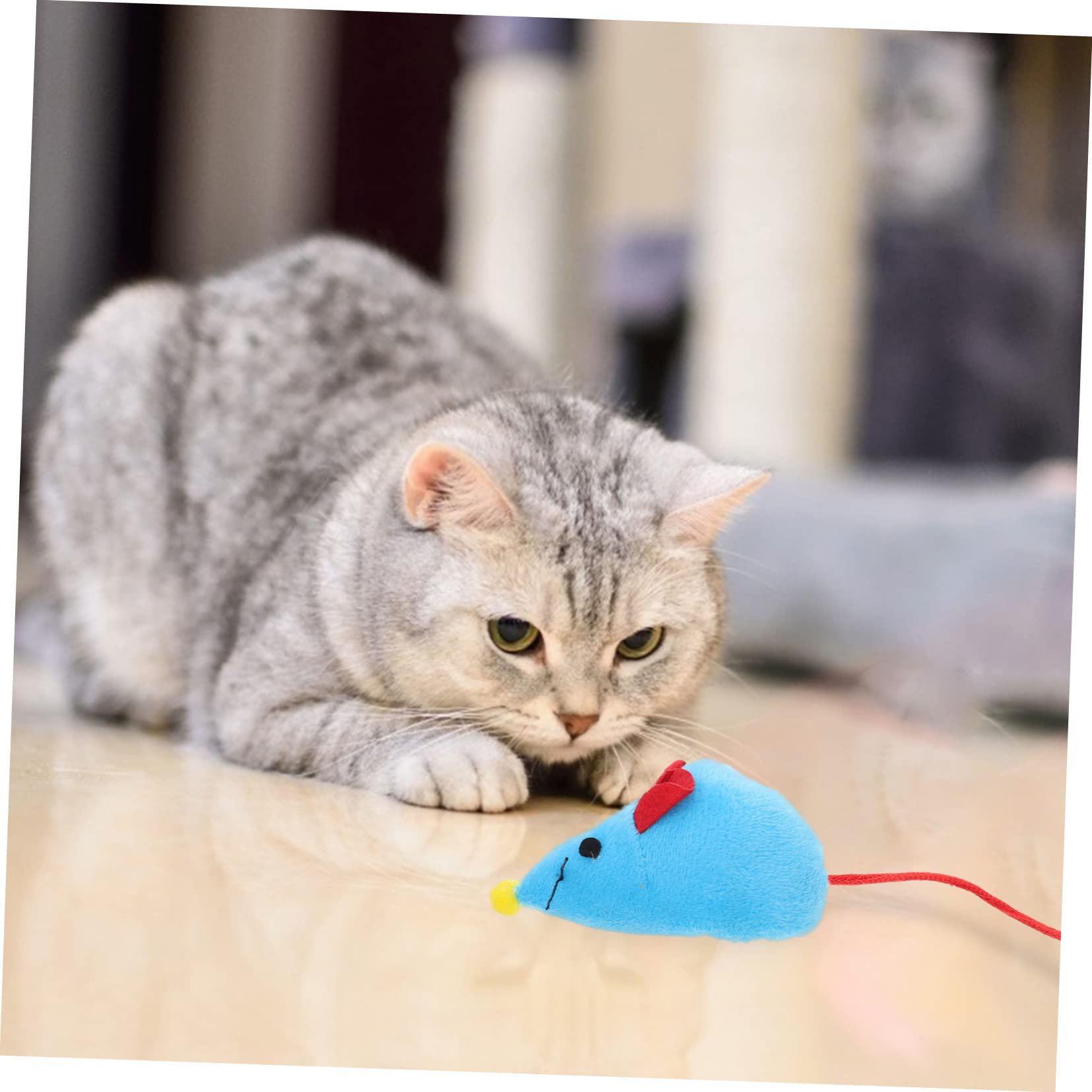 DOITOOL 5ensembles Tunnel De Jeu Interactif pour Chat avec Design Souris Jouet Exploration pour Chaton Et Chat pour Divertissement
