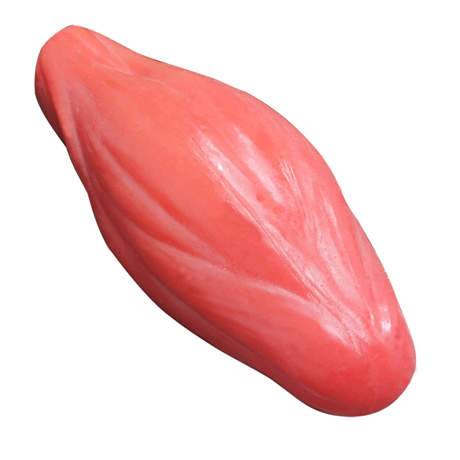 Modello di Replica dei Muscoli del Corpo Umano, Modello Anatomico dei Muscoli Umani da 2 libbre per Appassionati di Fitness, Nutrizionisti, Atleti,Rosa,22cm
