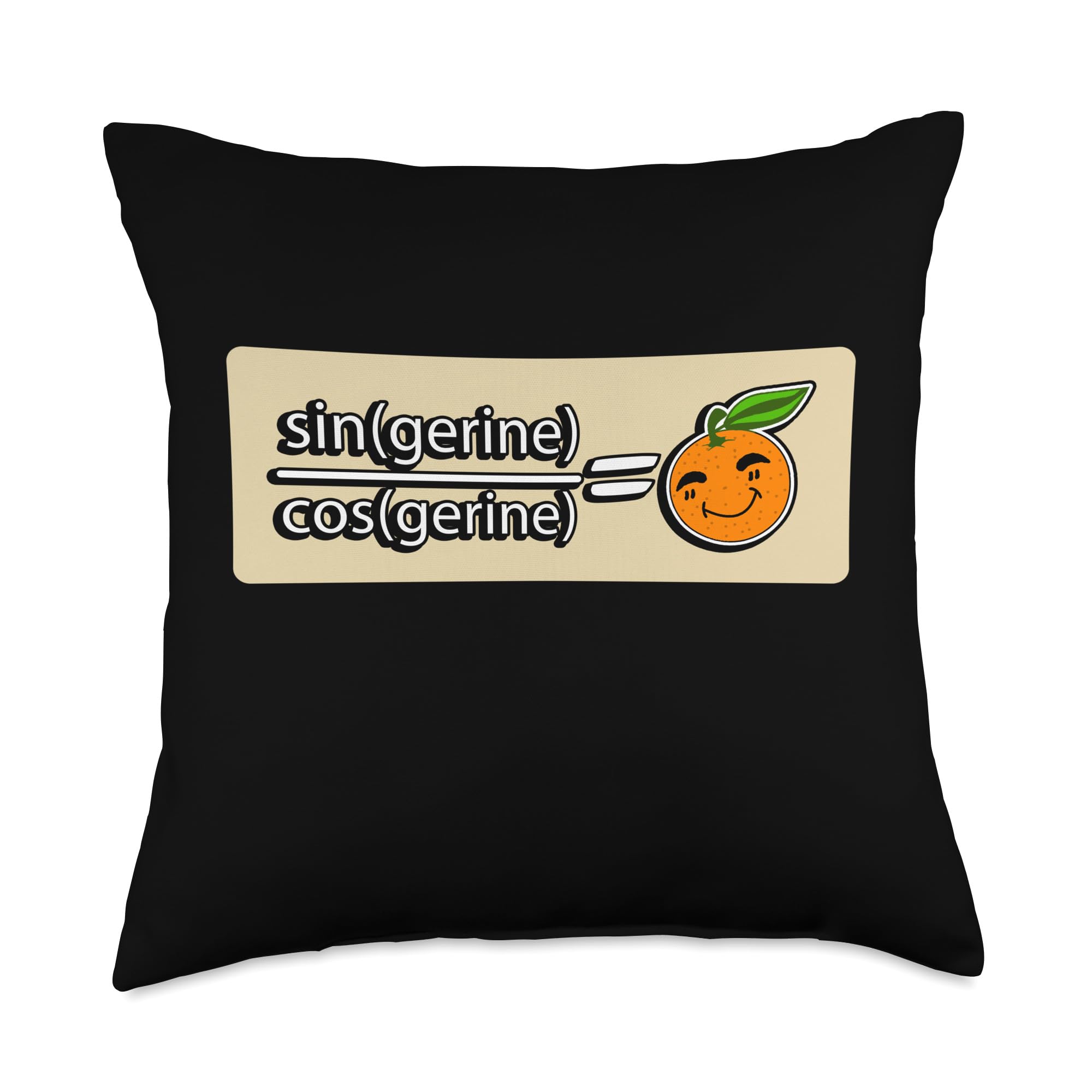 Funny Math Design Back to School for Teachers Student Parent Throw Pillow, 18x18, Multicolor