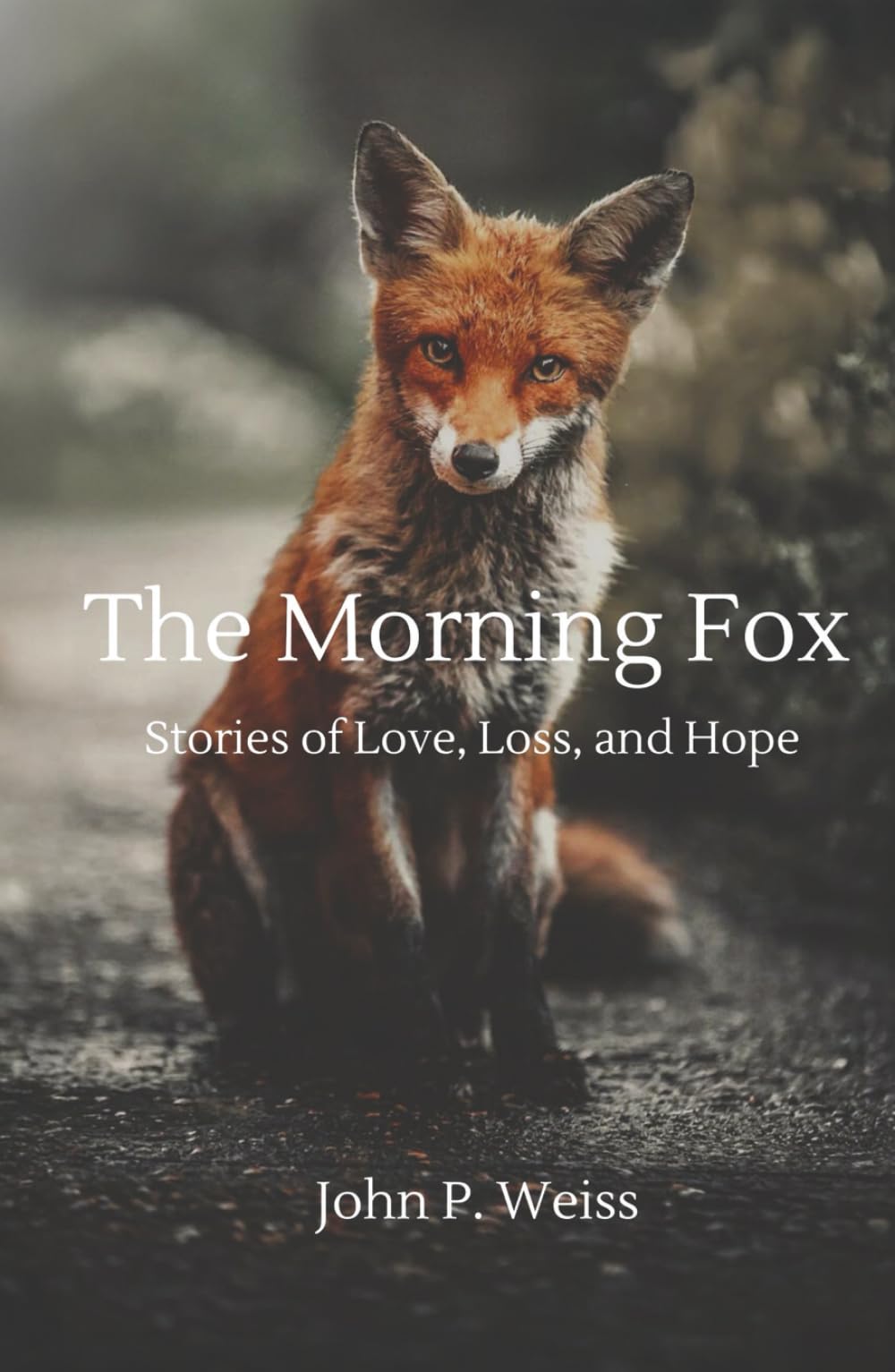 The Morning Fox: Stories of Love, Loss, and Hope