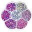 Liliume 5000pcs Strass Hotfix Rose - 24 Couleurs 5 Tailles Strass Verre Pour Vêtements Et Artisanat