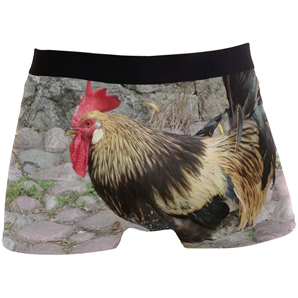 Men Boxer Briefs Animal Poultry Chicken Cock Rooster Underwear for Boy Youth Mens Polyester Spandex Breathable